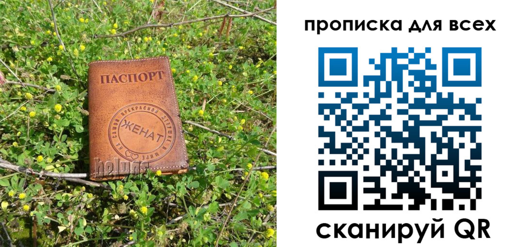 прописка поиск в Лодейном Поле